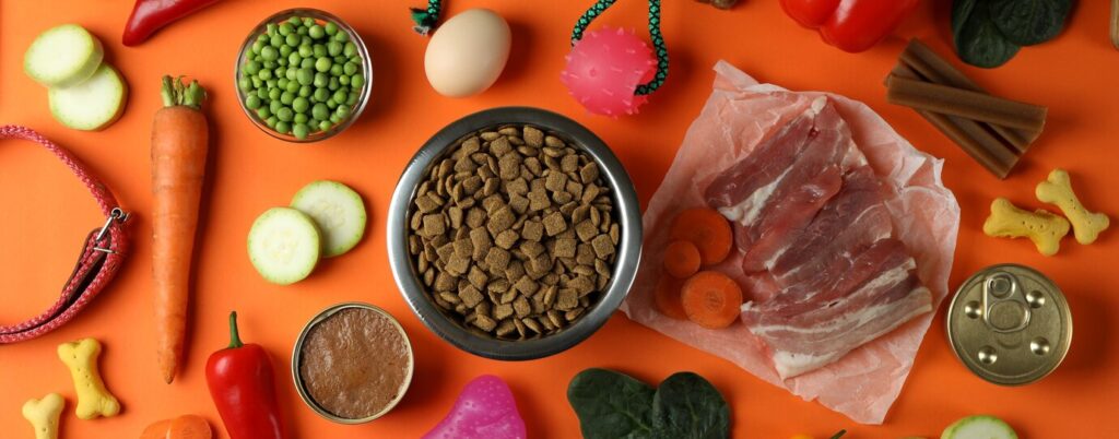 Various dog Treat or snack
